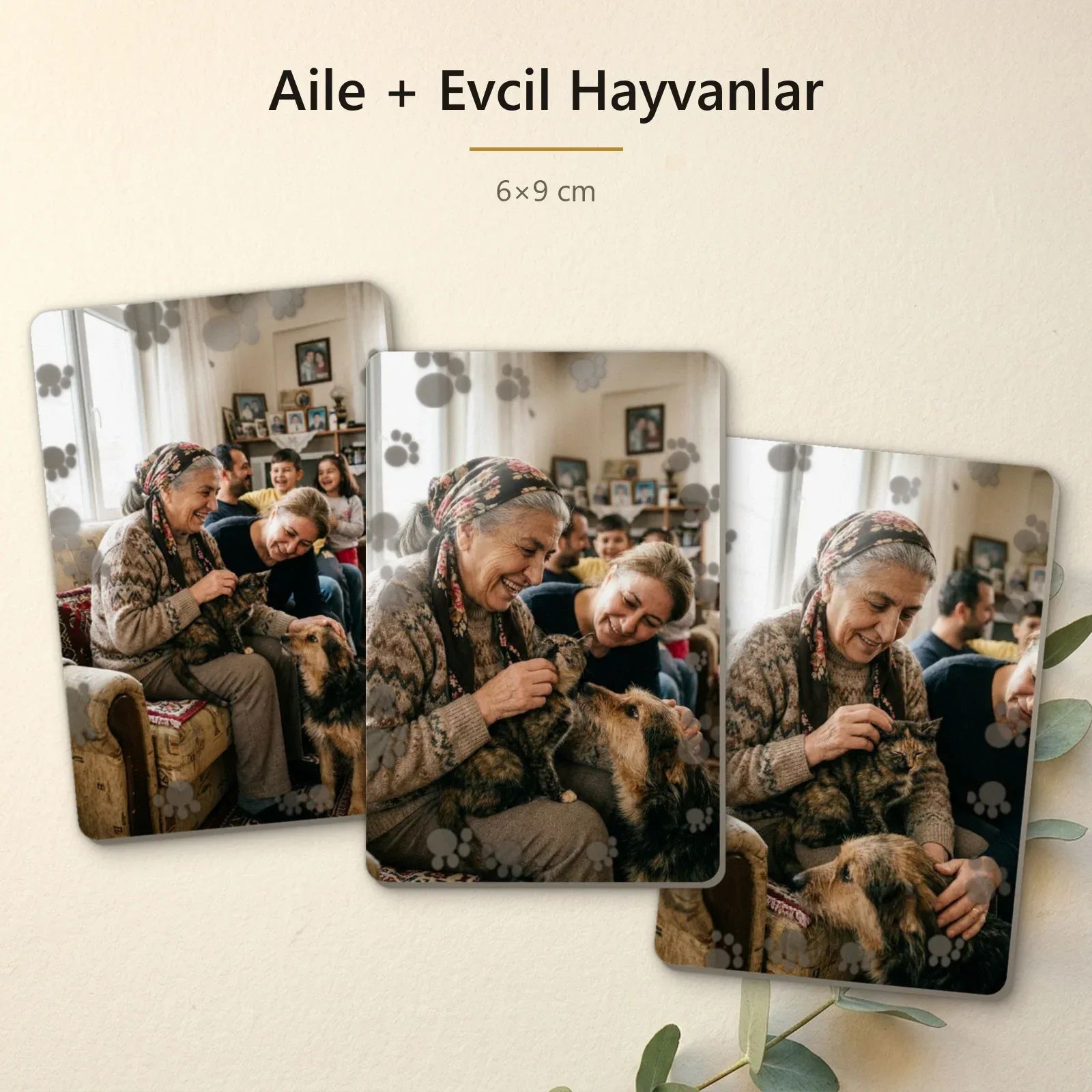 Aile + Evcil Hayvanlar