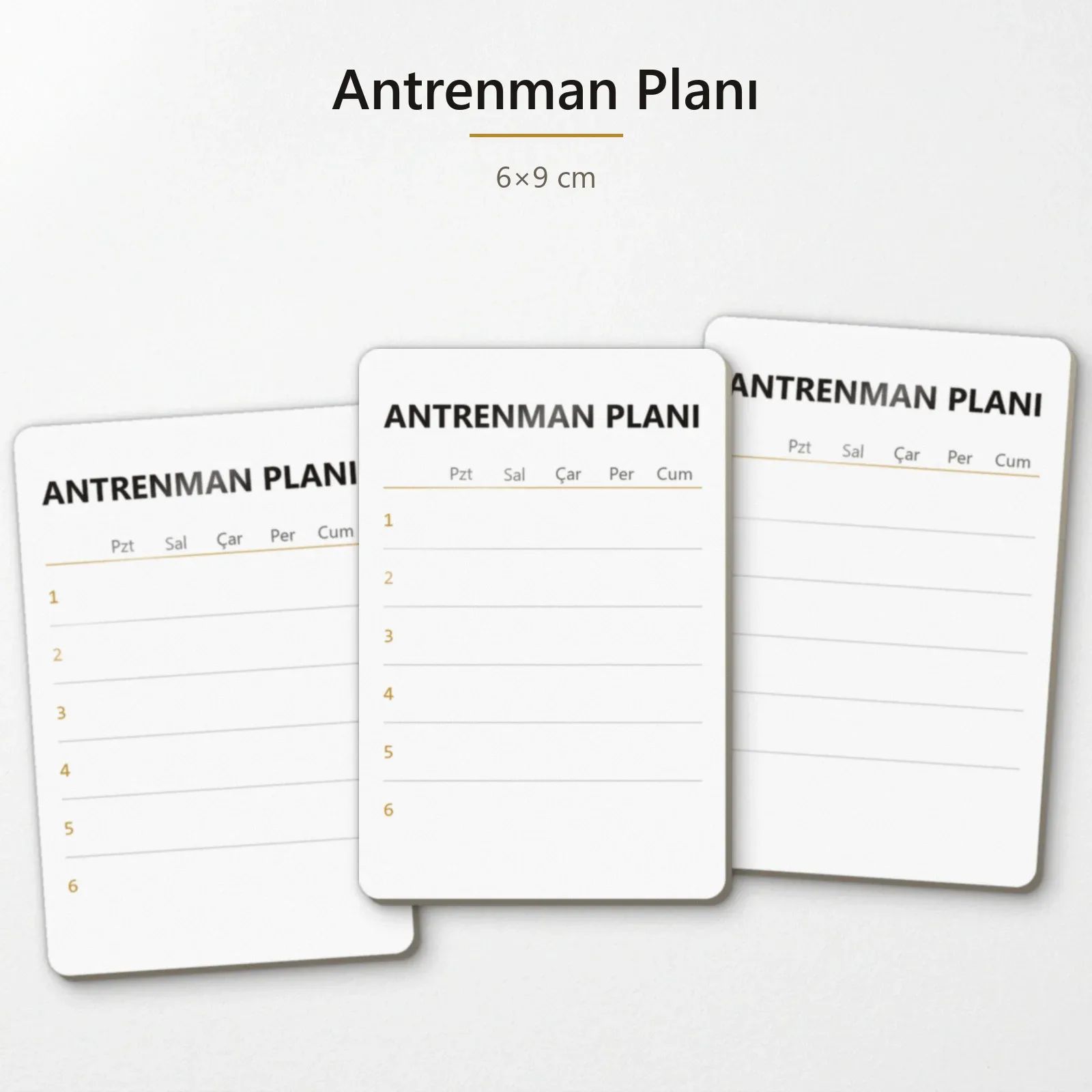 Antrenman Planı