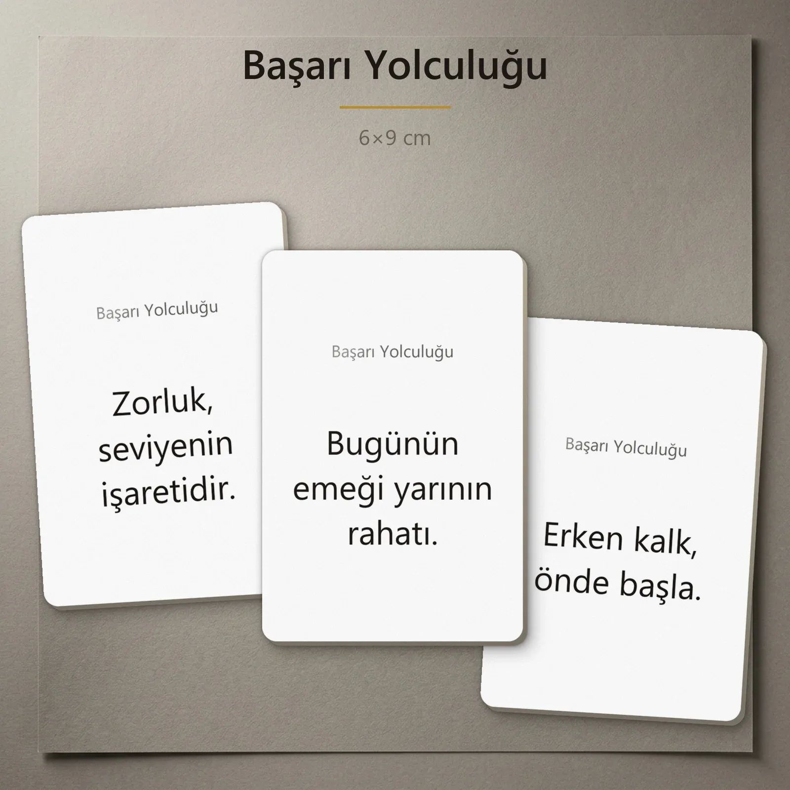 Başarı Yolculuğu