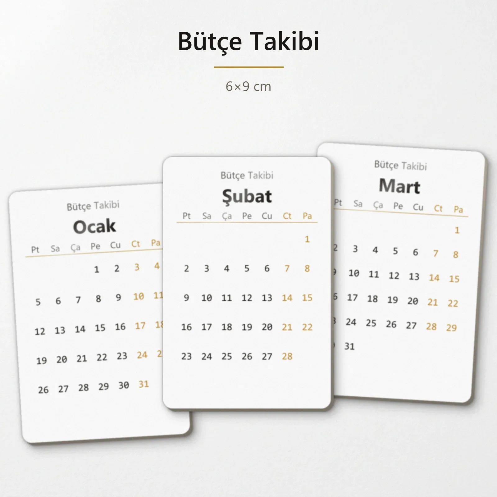 Bütçe Takibi