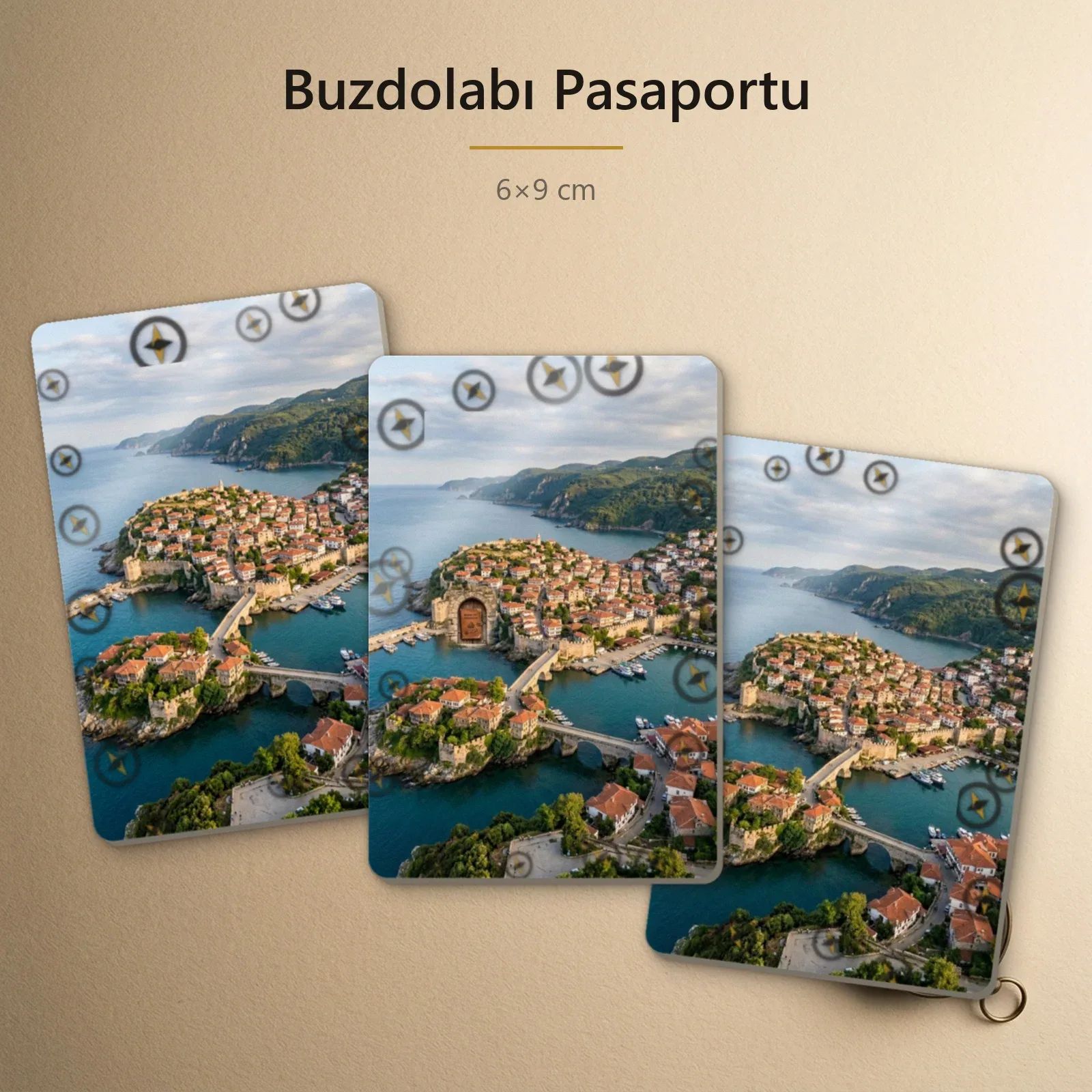 Buzdolabı Pasaportu